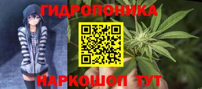 MDMA Новозыбков