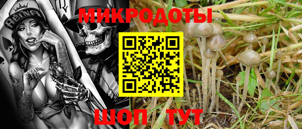 APVP Таганрог